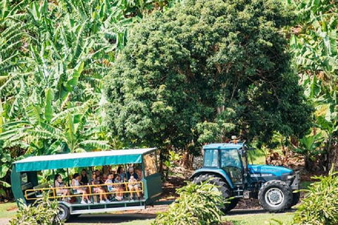 Tropical Fruit World With Wildlife Boat Cruise From Gold Coast - Whitsundays Accommodation 14