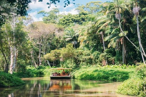 Tropical Fruit World With Wildlife Boat Cruise From Gold Coast - Whitsundays Accommodation 11