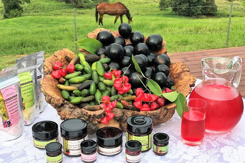 Atherton Tablelands Small-Group Food & Wine Tasting Tour From Port Douglas - Whitsundays Accommodation 12