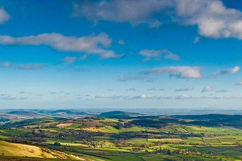 Atherton Tablelands Small-Group Food & Wine Tasting Tour From Port Douglas - Whitsundays Accommodation 20