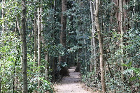 Eumundi Markets And Sunshine Coast Day Trip From Brisbane - Whitsundays Accommodation 6