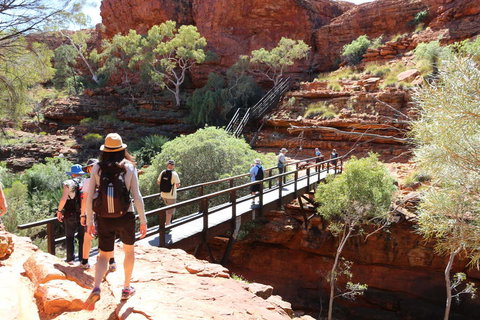 Kings Canyon Day Trip From Ayers Rock - Whitsundays Accommodation 19