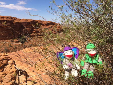 Kings Canyon Day Trip From Ayers Rock - Whitsundays Accommodation 23