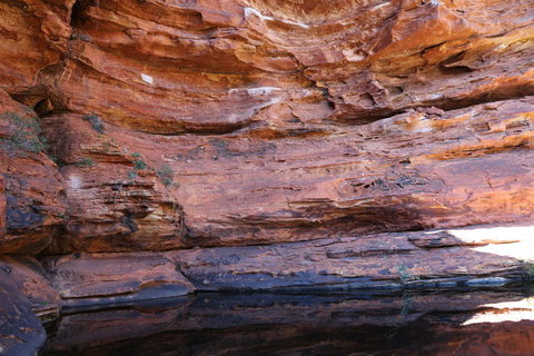 Kings Canyon Day Trip From Ayers Rock - Whitsundays Accommodation 16