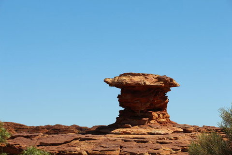 Kings Canyon Day Trip From Ayers Rock - Whitsundays Accommodation 17