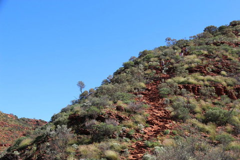 Kings Canyon Day Trip From Ayers Rock - Whitsundays Accommodation 21