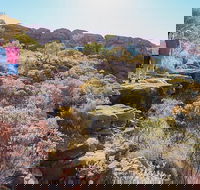 Kings Canyon Day Trip from Ayers Rock - Whitsundays Accommodation