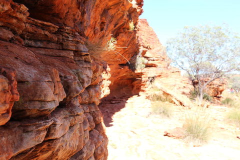 Kings Canyon Day Trip From Ayers Rock - Whitsundays Accommodation 20