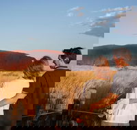 Uluru Ayers Rock Sunset with Outback Barbecue Dinner and Star Tour - Whitsundays Accommodation