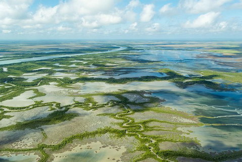 Darwin To Kakadu Day Trip By Air Including Yellow Water Cruise - Whitsundays Accommodation 3