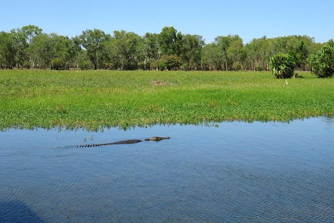 Darwin To Kakadu Day Trip By Air Including Yellow Water Cruise - Whitsundays Accommodation 8