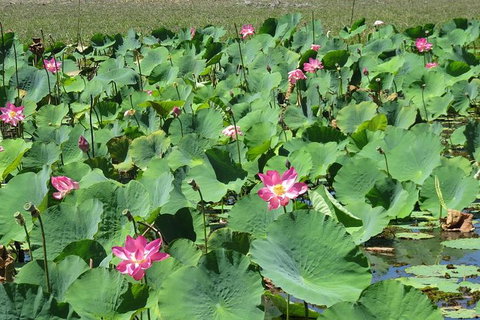 Darwin To Kakadu Day Trip By Air Including Yellow Water Cruise - Whitsundays Accommodation 10