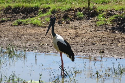 Darwin To Kakadu Day Trip By Air Including Yellow Water Cruise - Whitsundays Accommodation 12