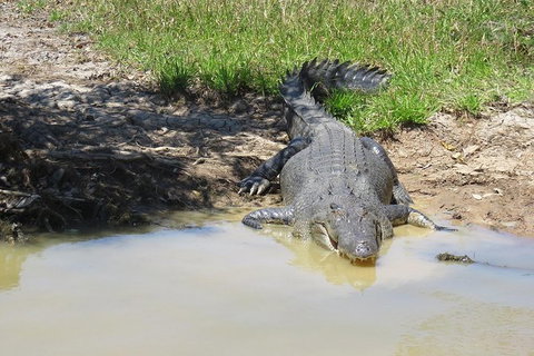 Darwin To Kakadu Day Trip By Air Including Yellow Water Cruise - Whitsundays Accommodation 5