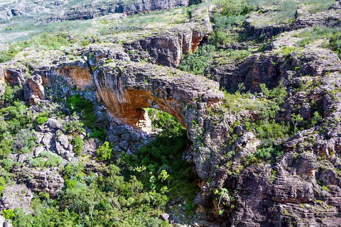 Darwin To Kakadu Day Trip By Air Including Yellow Water Cruise - Whitsundays Accommodation 13