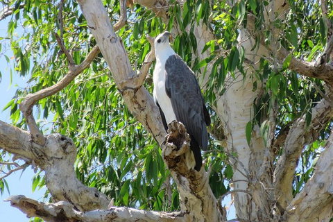 Darwin To Kakadu Day Trip By Air Including Yellow Water Cruise - Whitsundays Accommodation 6