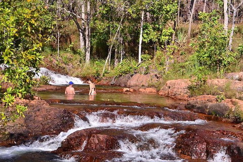 Litchfield National Park Day Tour From Darwin With Waterfalls And Buley Rockhole - Whitsundays Accommodation 0