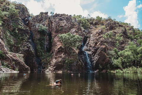 Litchfield National Park Day Tour From Darwin With Waterfalls And Buley Rockhole - Whitsundays Accommodation 13