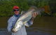 Freshwater Or Saltwater Barramundi Fishing Day Trip From Darwin - thumb 5