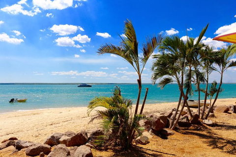 Crab Claw Island Resort Cruise And Seafood Buffet - Whitsundays Accommodation 0