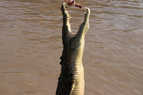 Litchfield Dreams 1 Day National Park Waterfall Swimming & Jumping Croc Cruise - Whitsundays Accommodation 1
