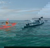 Kayaking with Dolphins in Byron Bay Guided Tour - Whitsundays Accommodation