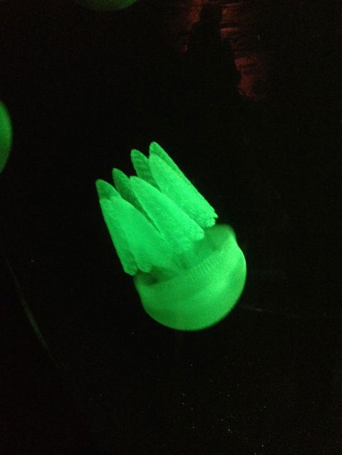 SEA LIFE Sydney Aquarium Entrance Ticket - Whitsundays Accommodation 2