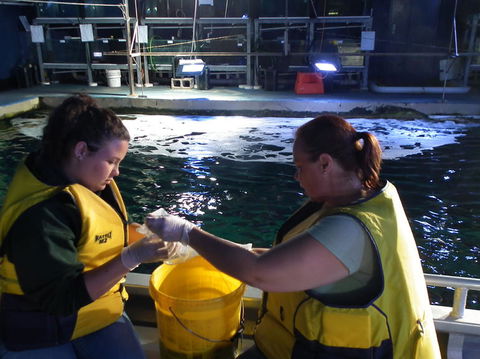 SEA LIFE Sydney Aquarium Entrance Ticket - Whitsundays Accommodation 14