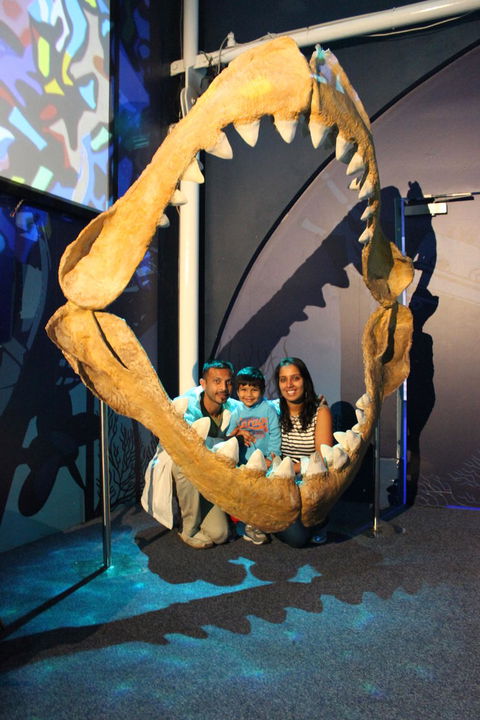 SEA LIFE Sydney Aquarium Entrance Ticket - Whitsundays Accommodation 6