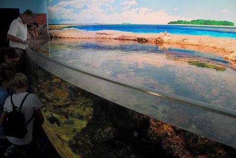 SEA LIFE Sydney Aquarium Entrance Ticket - Whitsundays Accommodation 24