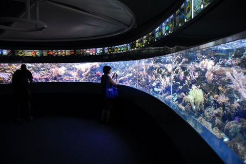 SEA LIFE Sydney Aquarium Entrance Ticket - Whitsundays Accommodation 23