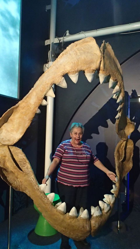 SEA LIFE Sydney Aquarium Entrance Ticket - Whitsundays Accommodation 3