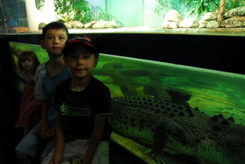 SEA LIFE Sydney Aquarium Entrance Ticket - Whitsundays Accommodation 22