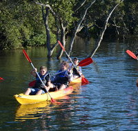 Kayak and SUP Guided Tours - Whitsundays Accommodation