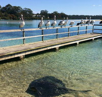 The Eurobodalla Experience Full day private tour including lunch - Whitsundays Accommodation