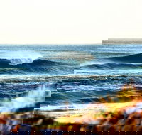7-Day Byron Bay Evans Head and Moonee Beach Surf Safari from Brisbane Gold Coast or Byron Bay - Whitsundays Accommodation