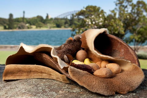 Aboriginal Heritage Tour At The Royal Botanic Garden Sydney - Whitsundays Accommodation 7