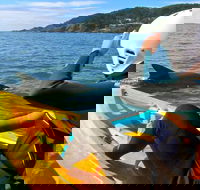 Byron Bay Combo Hinterland Tour Including Minyon Falls and Kayaking with Dolphins - Whitsundays Accommodation