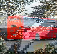 SkyBus Byron Bay Express - Whitsundays Accommodation