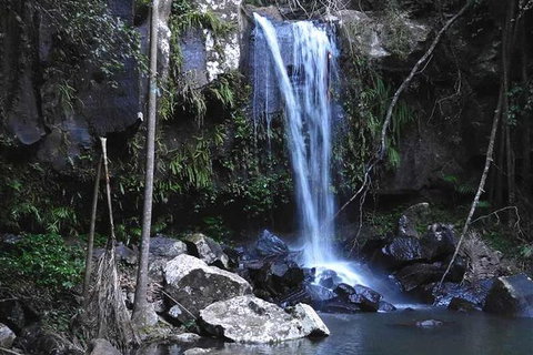 Personal, Private Chauffeur Driven Guided Tours - Whitsundays Accommodation 1