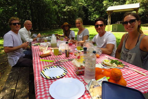 Byron Bay Wildlife Safari - Whitsundays Accommodation 8