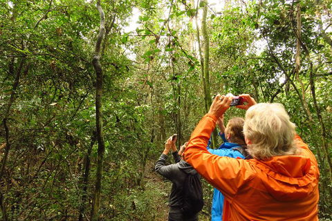 Byron Bay Wildlife Safari - Whitsundays Accommodation 12
