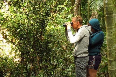 Byron Bay Wildlife Safari - Whitsundays Accommodation 10