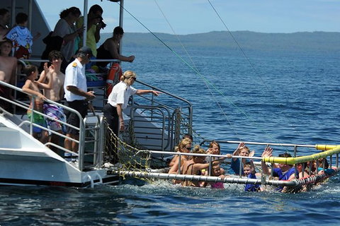 Jervis Bay Boom Netting And Dolphins Tour - Whitsundays Accommodation 1