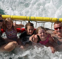 Jervis Bay Boom Netting and Dolphins Tour - Whitsundays Accommodation