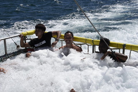Jervis Bay Boom Netting And Dolphins Tour - Whitsundays Accommodation 9