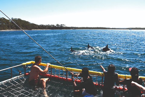 Jervis Bay Boom Netting And Dolphins Tour - Whitsundays Accommodation 2