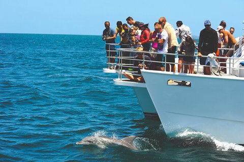 Jervis Bay Boom Netting And Dolphins Tour - Whitsundays Accommodation 10