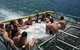 Jervis Bay Boom Netting And Dolphins Tour - thumb 4