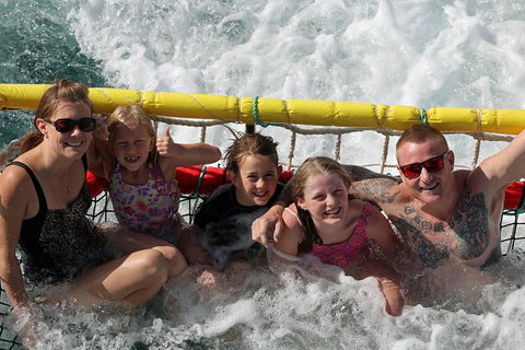 Jervis Bay Boom Netting And Dolphins Tour - Whitsundays Accommodation 11